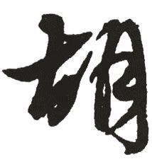 胡 五行|新华字典：胡